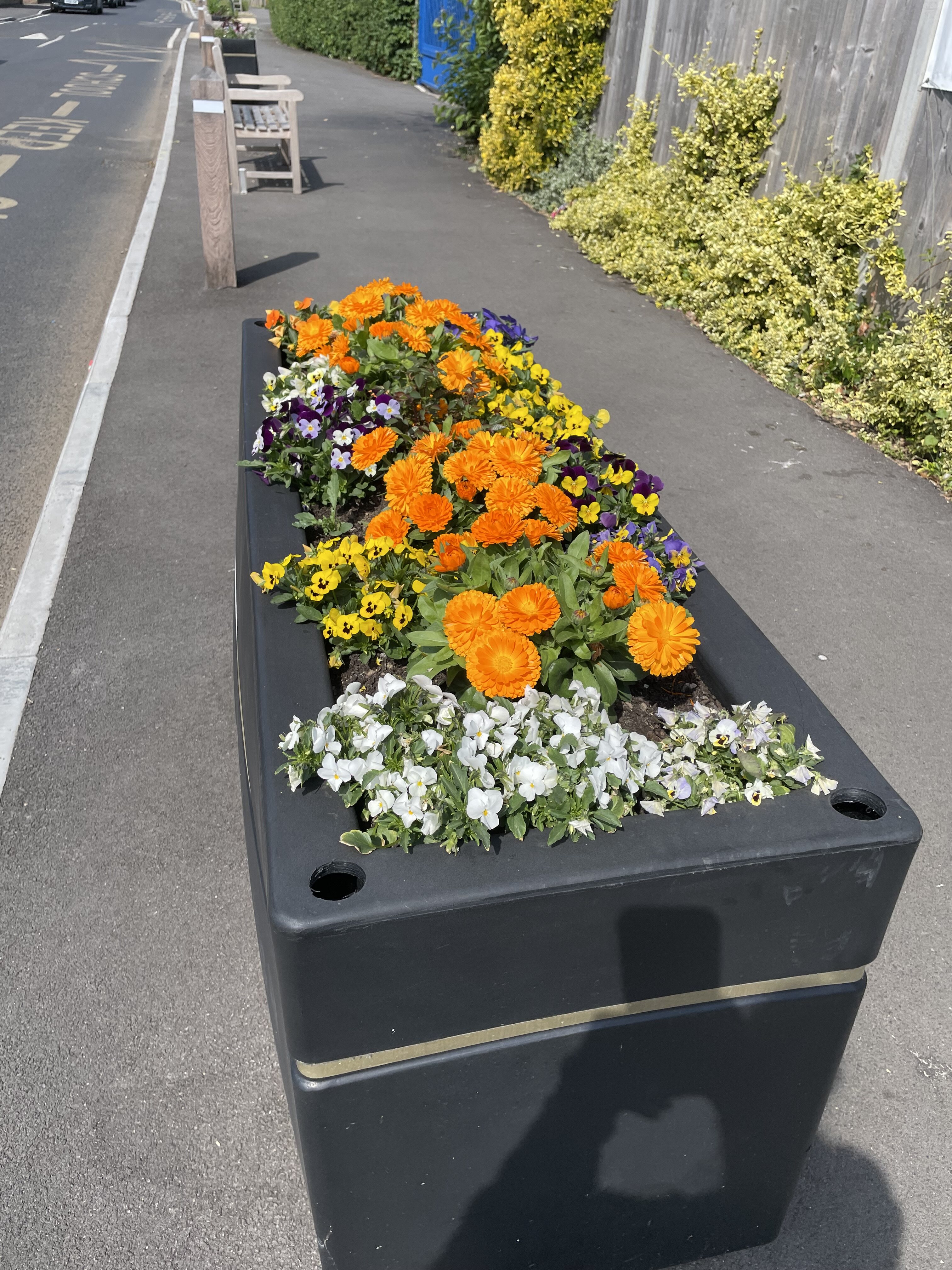 Wheelers Lane Gardening